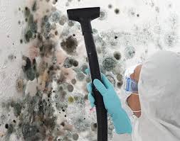 Best Mold Documentation for Insurance Claims  in Sleepy Hollow, CA